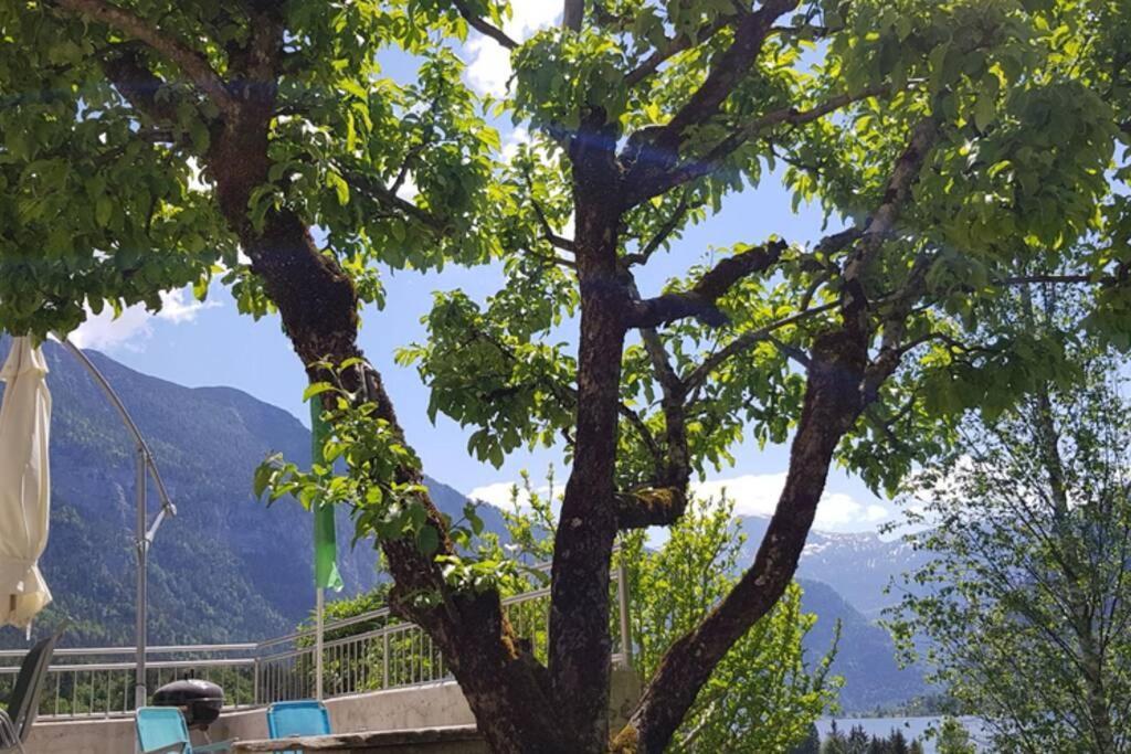 Ferienhaus Kopriwa باد غويسرن المظهر الخارجي الصورة